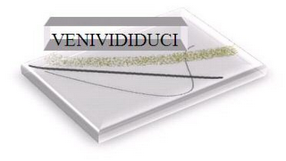VENIVIDIDUCI logo