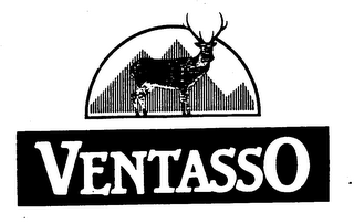 VENTASSO logo