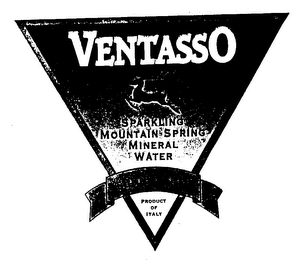 VENTASSO SPARKLING MOUNTAIN SPRING MINERAL WATER SODIUM FREE logo