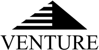VENTURE logo