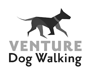 VENTURE DOG WALKING logo
