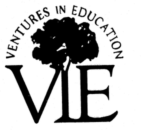 VENTURES IN EDUCATION VIE logo