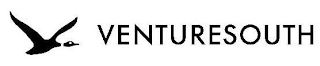 VENTURESOUTH logo
