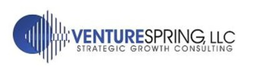 VENTURESPRING, LLC STRATEGIC GROWTH CONSULTING logo