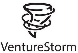 VENTURESTORM logo