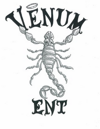 VENUM ENT logo
