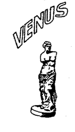 VENUS logo