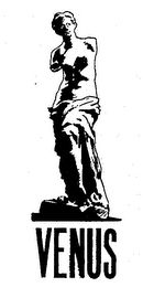 VENUS logo