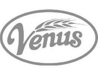 VENUS logo