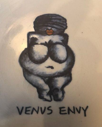 VENUS ENVY logo