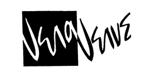VERA VERVE logo