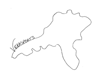VERASPORTS logo