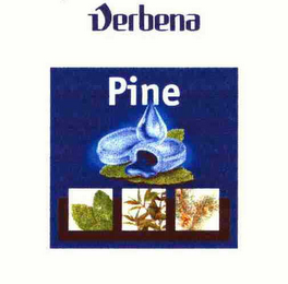 VERBENA PINE logo