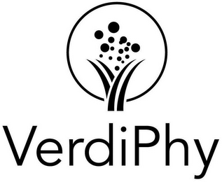 VERDIPHY logo