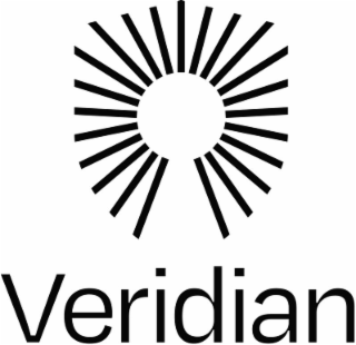 VERIDIAN logo