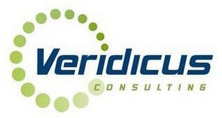 VERIDICUS CONSULTING