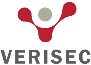 VERISEC logo