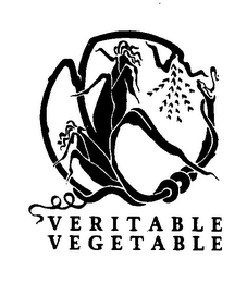 VERITABLE VEGETABLE logo