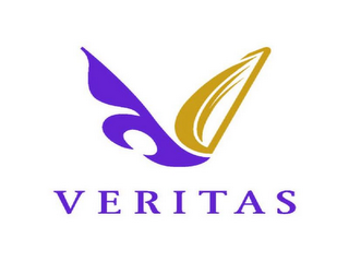 VERITAS logo