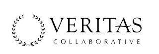 VERITAS COLLABORATIVE logo