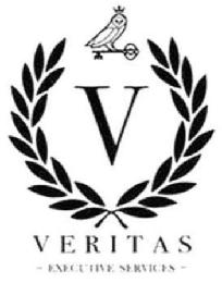 VERITAS EXECUTIVE SERVICES V logo