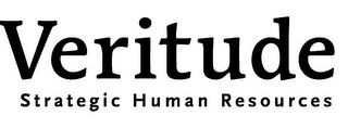 VERITUDE STRATEGIC HUMAN RESOURCES logo