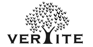VERLITE logo