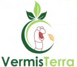 VERMISTERRA logo