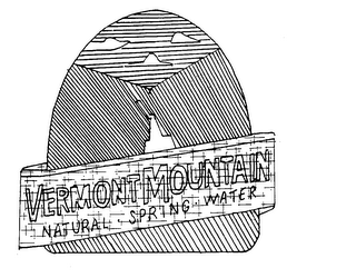 VERMONT MOUNTAIN NATURAL-SPRING-WATER logo