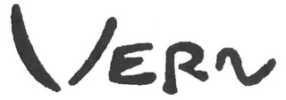 VERN logo