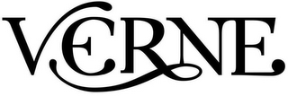 VERNE logo
