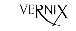 VERNIX logo