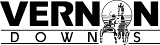 VERNON DOWNS logo