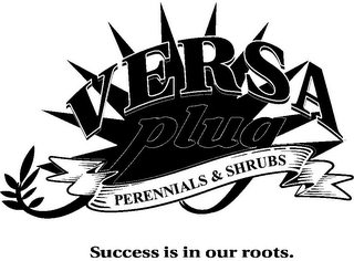 VERSA PLUG PERENNIALS & SHRUBS SUCCESS IS IN OUR ROOTS. logo