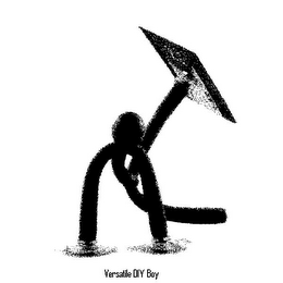 VERSATILE DIY BOY logo