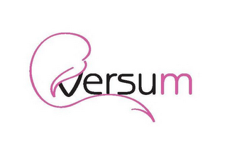 VERSUM logo