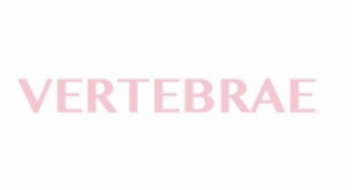 VERTEBRAE logo