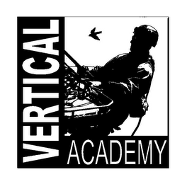 VERTICAL ACADEMY logo