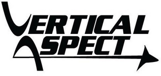 VERTICAL ASPECT logo