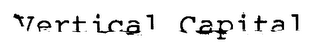 VERTICAL CAPITAL logo