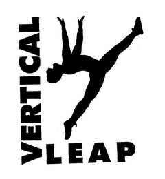 VERTICAL LEAP logo