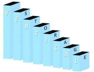 VERTICAL STORAGE logo