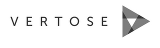 VERTOSE logo