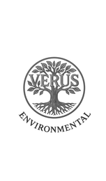 VERUS ENVIRONMENTAL logo