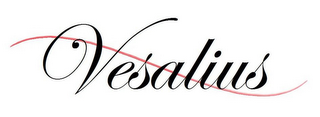VESALIUS logo