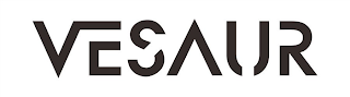 VESAUR logo