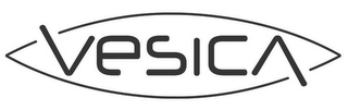 VESICA logo
