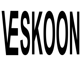 VESKOON logo