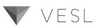 VESL V logo