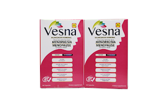 VESNA logo